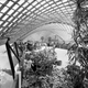 Image for article titled 9 Buildings By Frei Otto, the Architect Who Engineered the Future